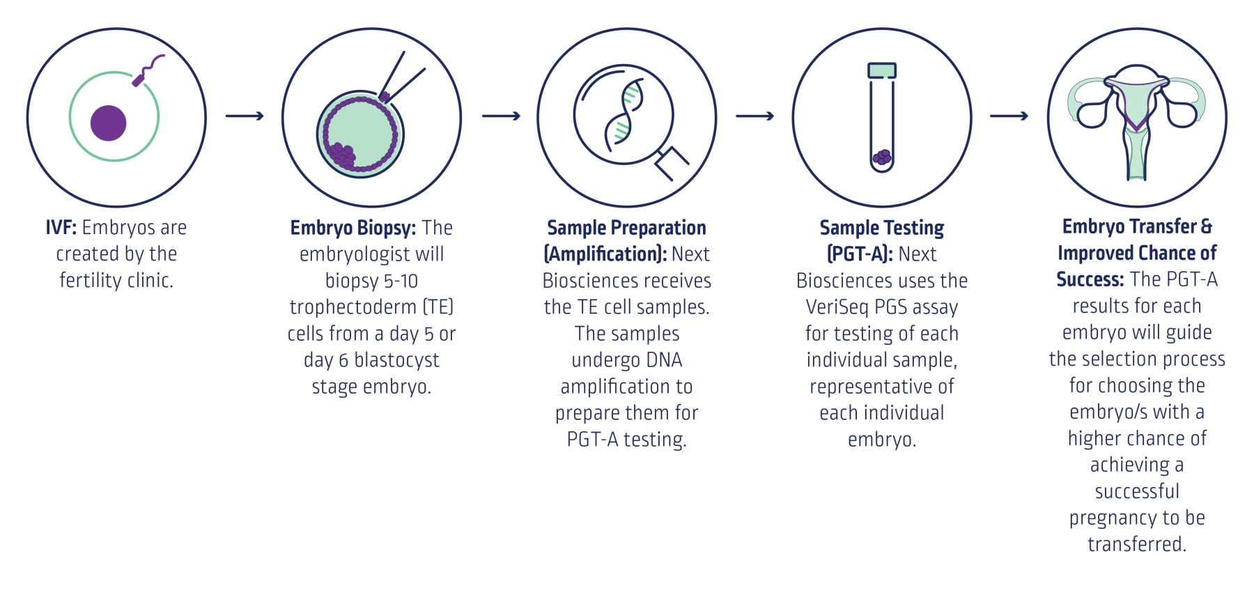 How does PGT-A Work - Updated